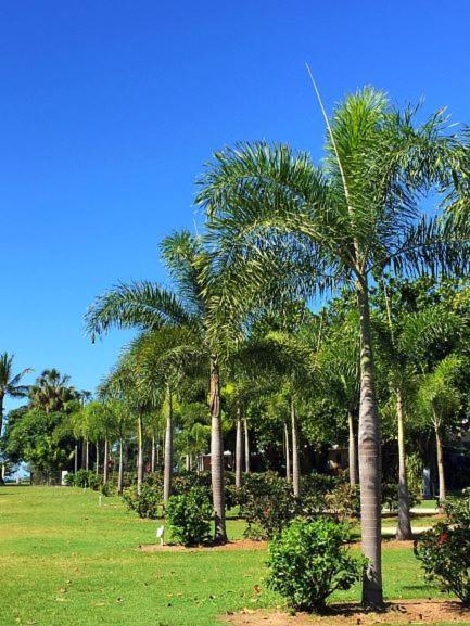 Dunk Island View Caravan Park Wongaling Beach Екстериор снимка