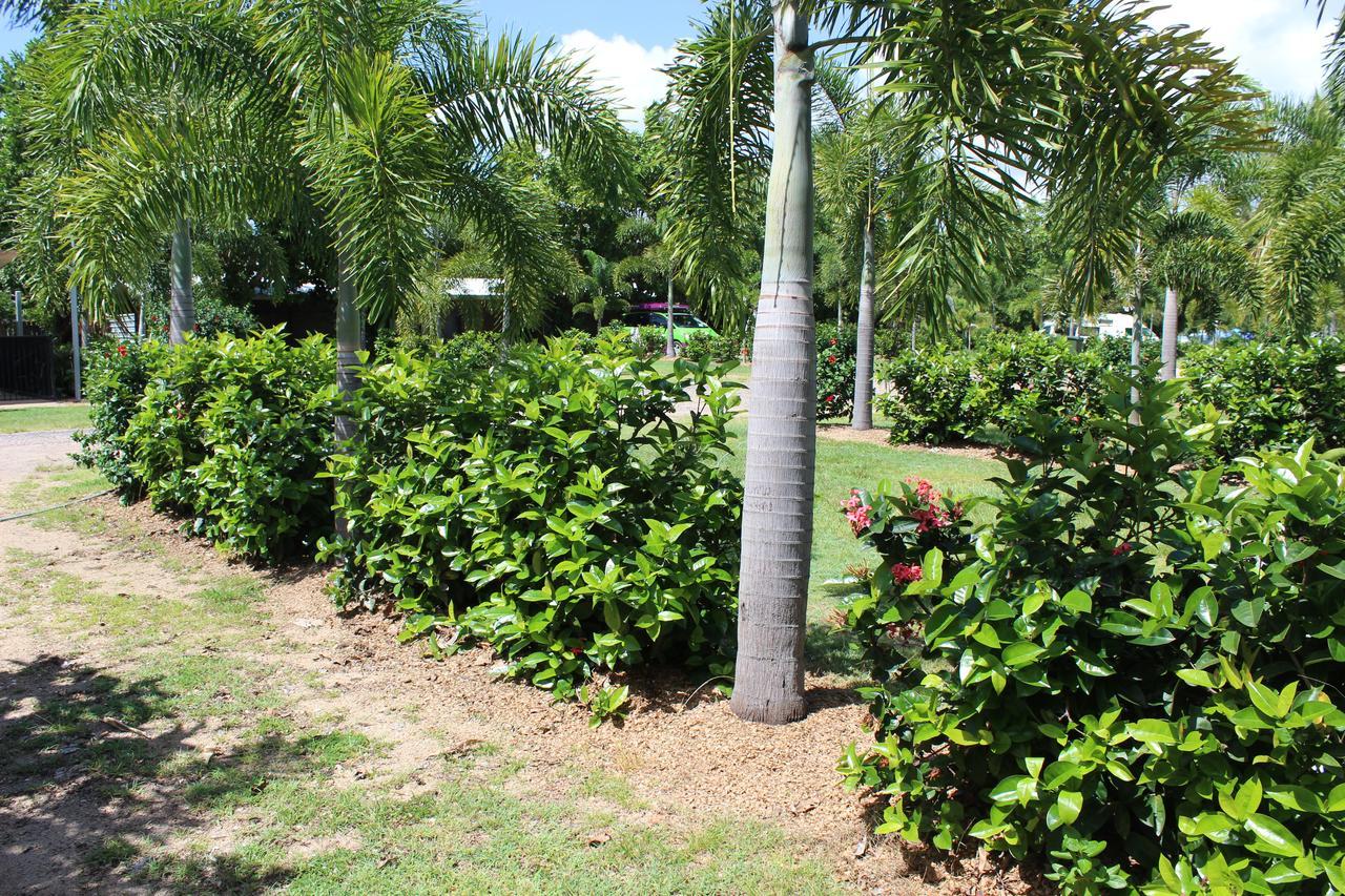 Dunk Island View Caravan Park Wongaling Beach Екстериор снимка